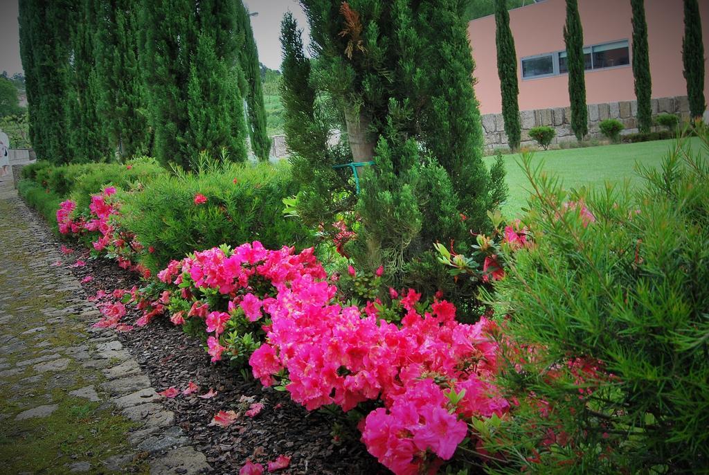 Hotel Quinta Da Cruz & Spa Oliveira  Экстерьер фото